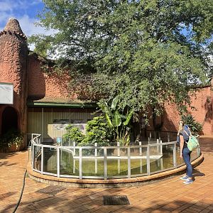 Monsters and Dragons Building