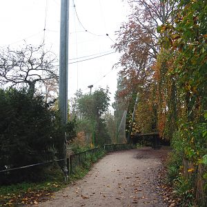 Walkway from parking lot to entrance, between vulture/chough aviary and pelican pond, 2021-11-06