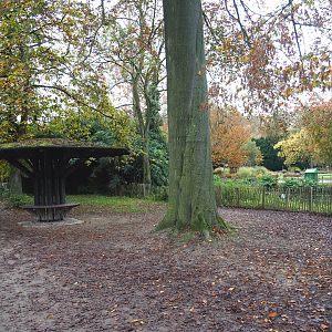 Sitting area and pelican pond viewing area next to walkway from parking lot to entrance, 2021-11-06