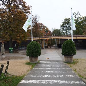 Current entrance, 2021-11-06