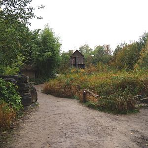 Walkway from the outdoor elephant viewing areas to the elephant house, 2021-11-06