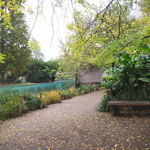 Walkway and sitting area with viewing of the Asiatic lion exhibit, 2021-11-06