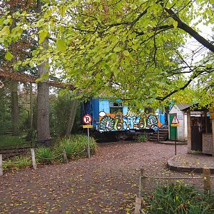 Eurasian spoonbill aviary and Old train car and small Indian train station theming, 2021-11-06