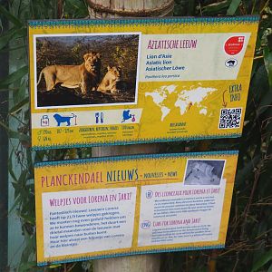 Asiatic lion signage, 2021-11-06