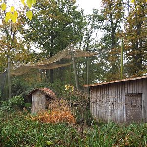 Largest mixed Asian aviary, 2021-11-06