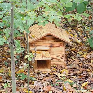 Hedgehog box in the wildlife area, 2021-11-06