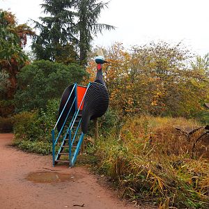 View in the Oceania area, near the cassowary exhibits, with giant cassowary viewing point, 2021-11-06