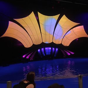 Dolphin Coast stadium