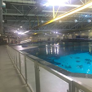 Top of Ocean Voyager