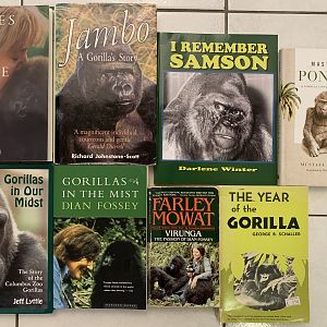 Books with gorilla covers