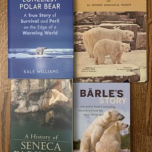 Books with polar bear covers