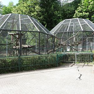 Ape House - Chimpanzees outside enclosure (2014)