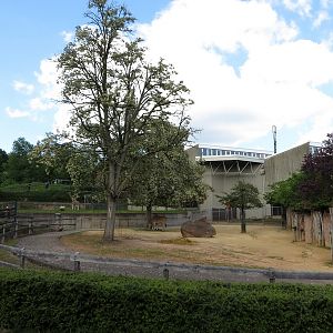 Africa House - Zebras (2014)