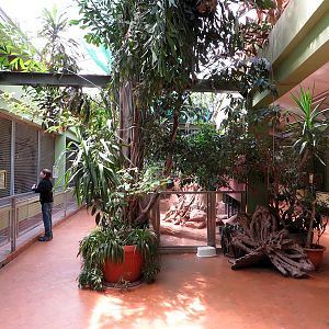 Lemur and Reptile House (2014)