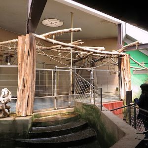 Inside the Tapir House (2014)