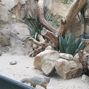 Boky - boky, one of the indoor exhibits