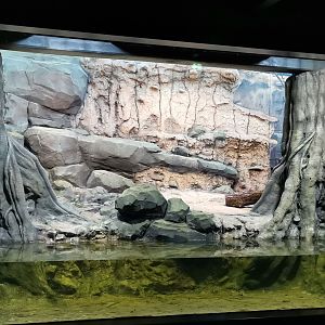 Jaguar indoor exhibit