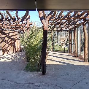 Empire of Cats, entrance to the courtyard - Persian Leopard, Margay and Ring-tailed Vontsira outdoor exhibits