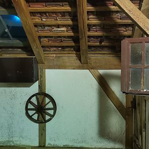 Seba's short-tailed Bat exhibit