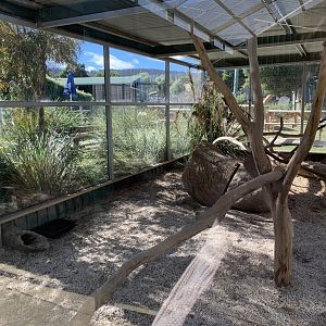 Meerkat 1st Enclosure 1/2