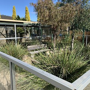 Meerkat 1st Enclosure 2/2