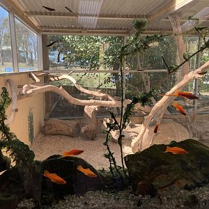 Meerkat 2nd Enclosure 1/3