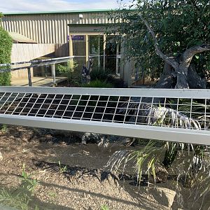 Meerkat 2nd Enclosure 2/3