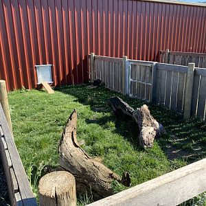 Guinea Pig/Rabbit Yard
