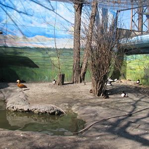 New Hungarian waterfowl aviary in Owl Castle