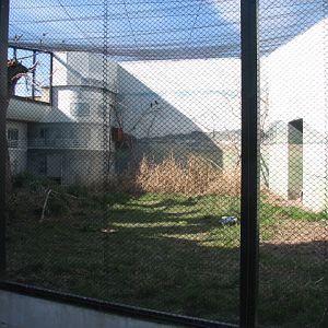 New European souslik exhibit in the Owl Castle