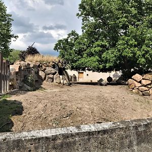 Eastern black rhino enclosure