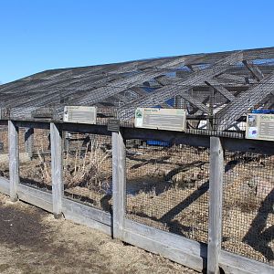 Turtle Pond (6 Species)