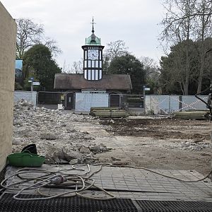 Site of the new Reptile House