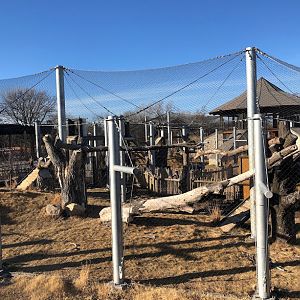 Slawson Family Asian Big Cat Trek