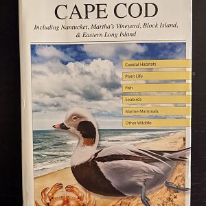 A Field Guide to Cape Cod: Including Nantucket, Martha's Vineyard, Block Island & Eastern Long Island