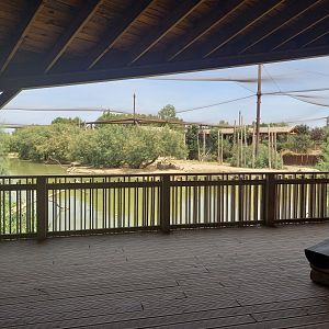 Réserve africaine de Sigean - African giant walkthrough aviary - Viewing point from a corner