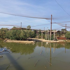 Réserve africaine de Sigean - African giant walkthrough aviary