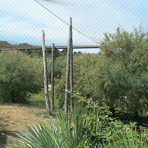 Réserve africaine de Sigean - African giant walkthrough aviary from outside