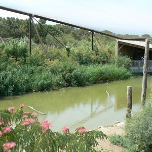 Réserve africaine de Sigean - African giant walkthrough aviary