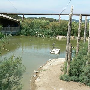 Réserve africaine de Sigean - African giant walkthrough aviary