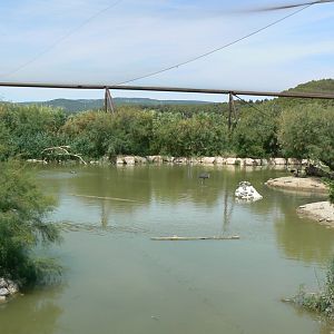 Réserve africaine de Sigean - African giant walkthrough aviary