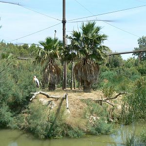 Réserve africaine de Sigean - African giant walkthrough aviary