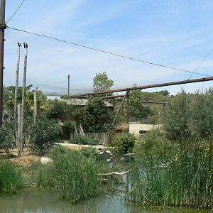 Réserve africaine de Sigean - African giant walkthrough aviary