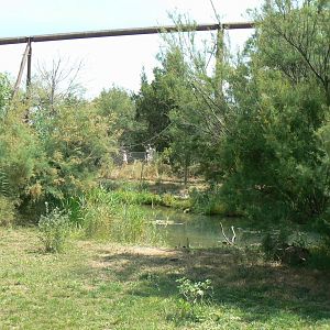 Réserve africaine de Sigean - African giant walkthrough aviary