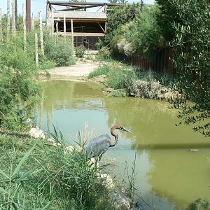 Réserve africaine de Sigean - African giant walkthrough aviary