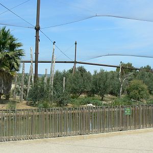 Réserve africaine de Sigean - African giant walkthrough aviary