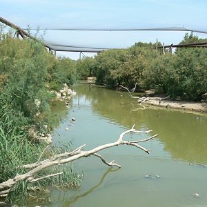 Réserve africaine de Sigean - African giant walkthrough aviary