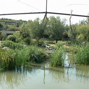 Réserve africaine de Sigean- African giant walkthrough aviary