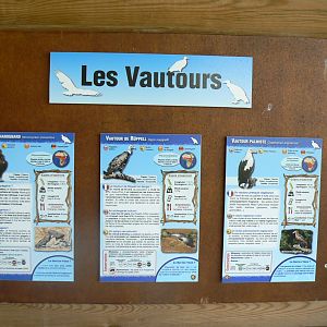 Réserve africaine de Sigean - African giant walkthrough aviary - Species panels