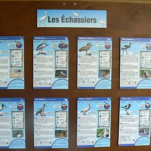 Réserve africaine de Sigean - African giant walkthrough aviary - Species panels